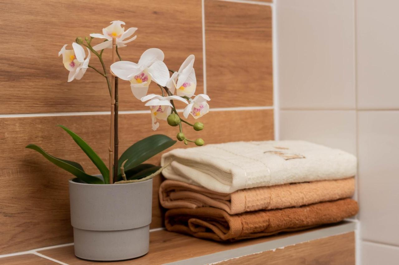 Apartamenty Goszowita Stronie Śląskie Esterno foto