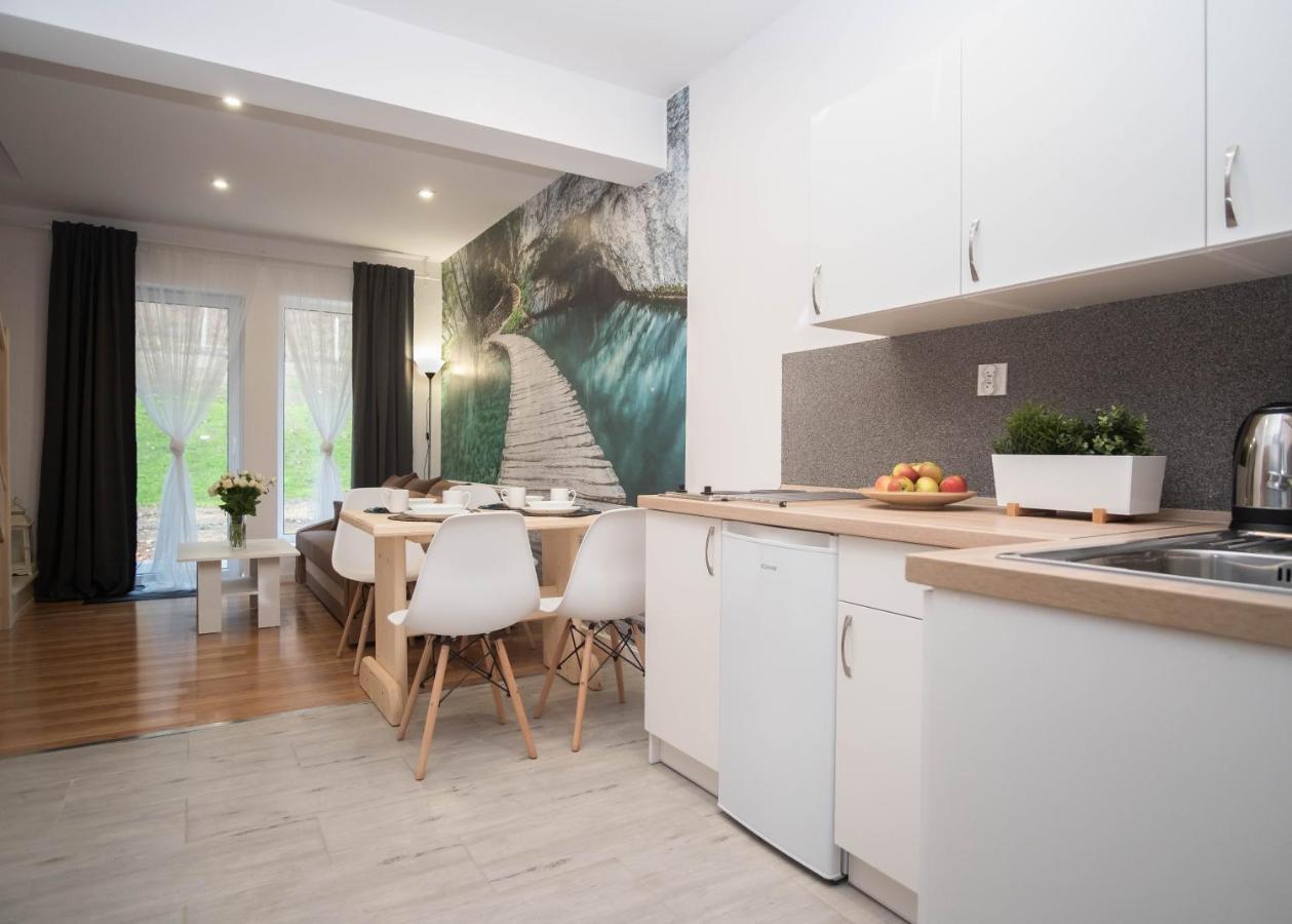 Apartamenty Goszowita Stronie Śląskie Esterno foto